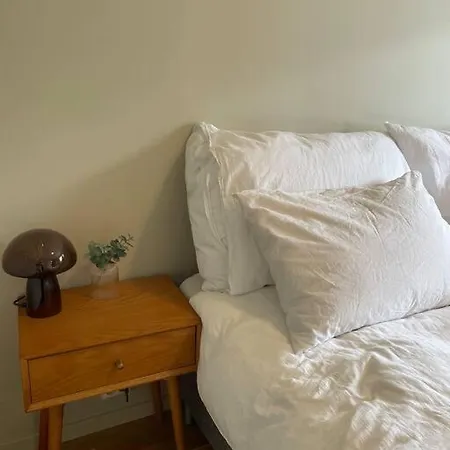 Newly Renovated With A View