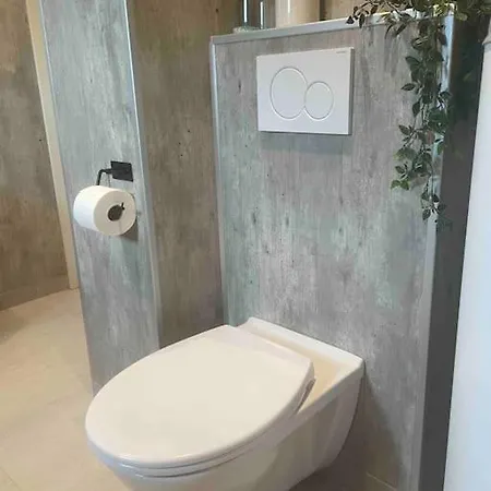Newly Renovated With A View