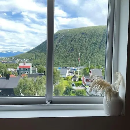 Newly Renovated With A View